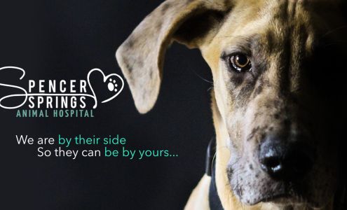Spencer Springs Animal Hospital