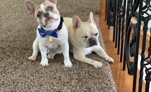 South Valley Animal Hospital