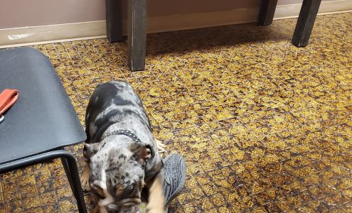 Lake Mead Animal Hospital