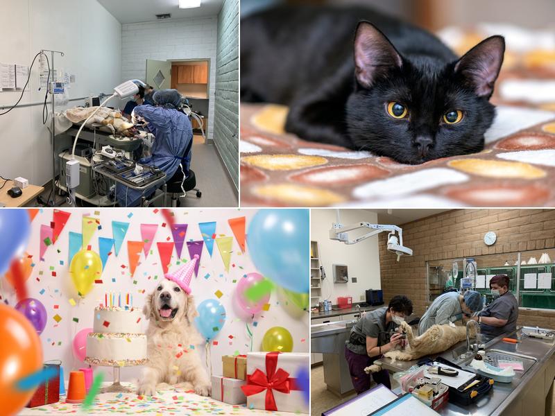 Truckee Meadows Veterinary Hospital