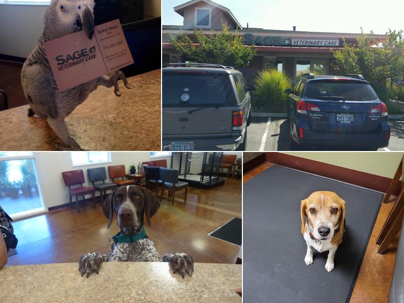 Sage Veterinary Care