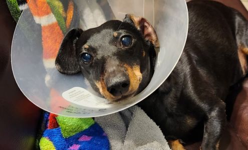 Sandia Animal Clinic