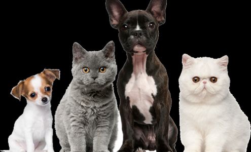 Juan Tabo Animal Clinic