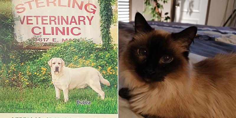 Sterling Veterinary Clinic