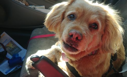 Northview Animal Hospital