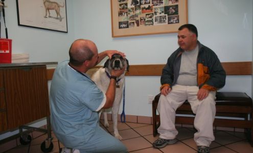 VCA Arrighetti Animal Hospital: Armendariz Esteban DVM