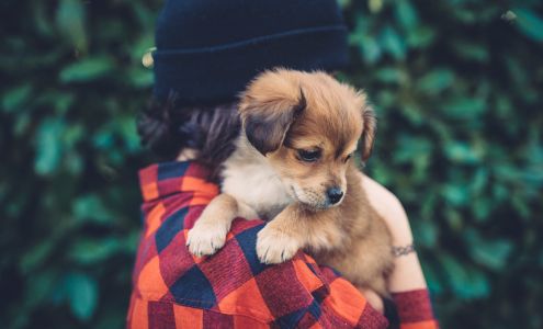 College Garden Animal Hospital Roswell