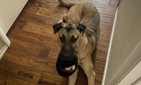 Smith Animal Clinic 1209 S Union Ave, Roswell New Mexico 88203