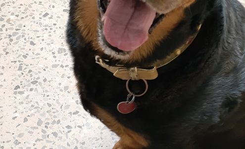 Animal Health International Inc Roswell