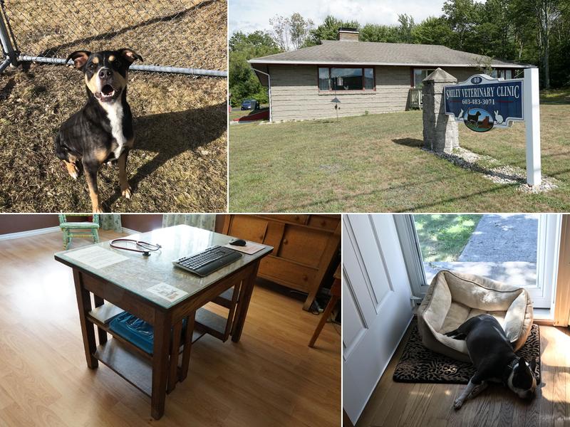 Smiley Veterinary Clinic