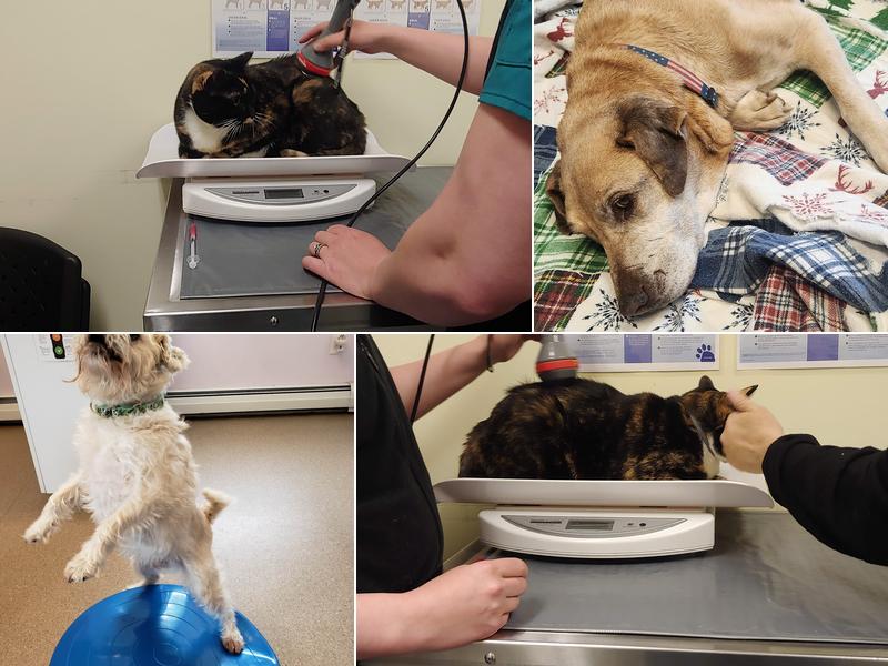 Suncook River Veterinary Clinic