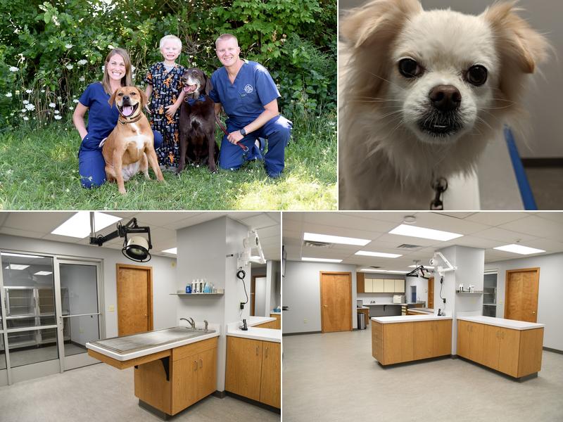 Millcreek Animal Hospital