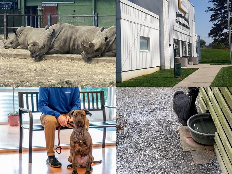 Humane Veterinary Hospitals - Reading