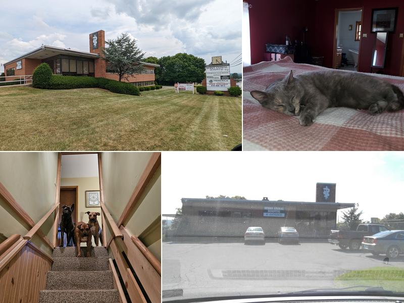 Berks Animal Hospital North