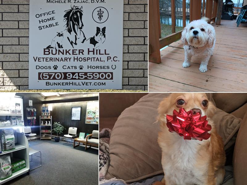 Bunker Hill Veterinary Hospital, PC