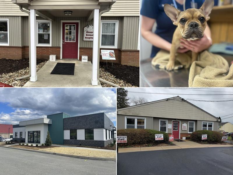Pine Creek Animal Hospital in Lancaster