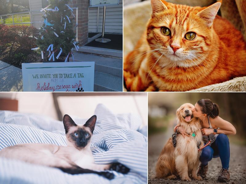 Winding Hill Veterinary Clinic: Kinneman Pamela J DVM