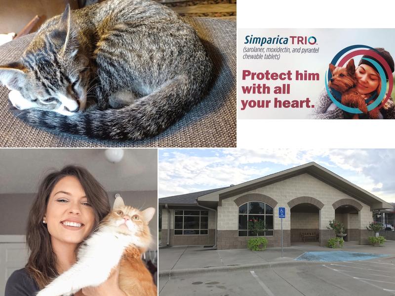 Rankin Veterinary Clinic