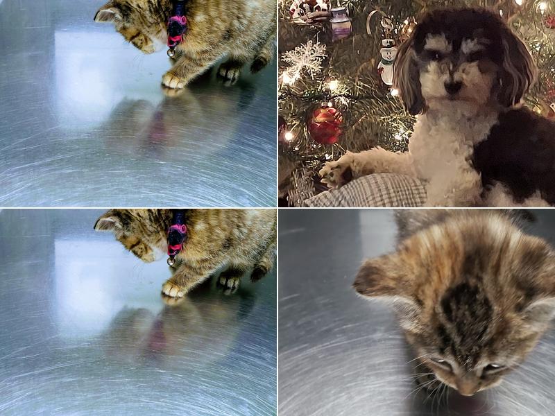 Veterinary Center- Daniel R. Reilly VMB