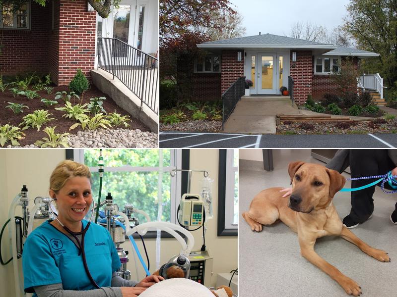 State College Veterinary Hospital