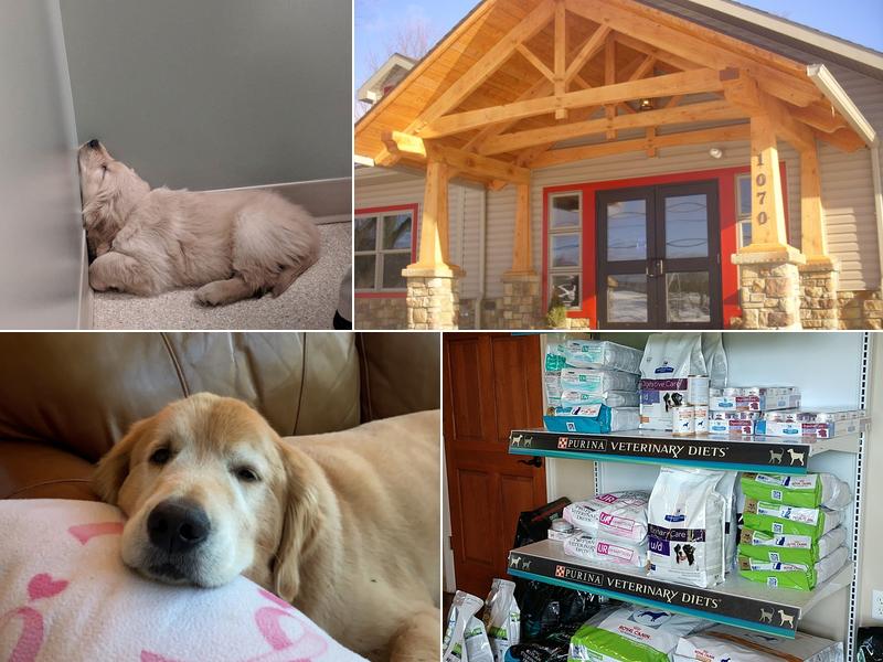 Halfmoon Valley Animal Hospital