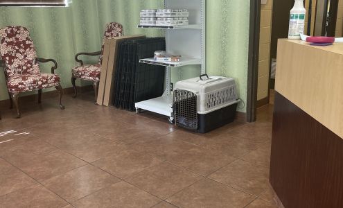 RescueVet Pet Care Center