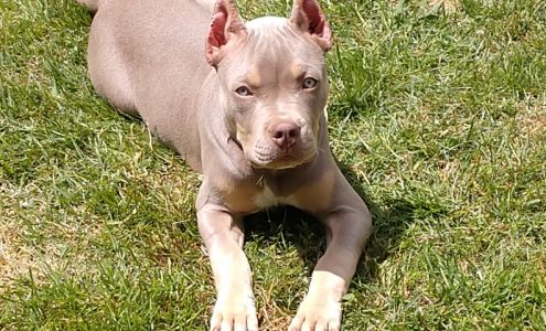 Broadway Veterinary Clinic