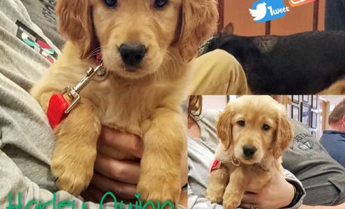 Asheville Highway Animal Hospital