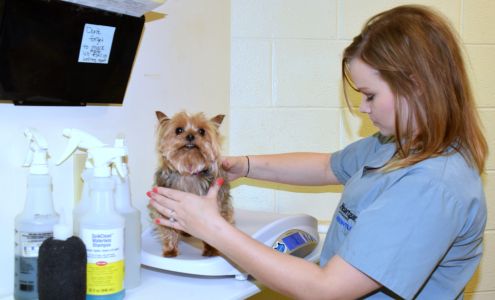 Fountain City Animal Hospital