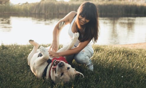 Bluegrass Animal Hospital