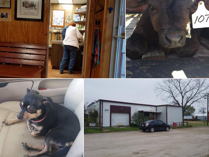 Easterling Veterinary Services