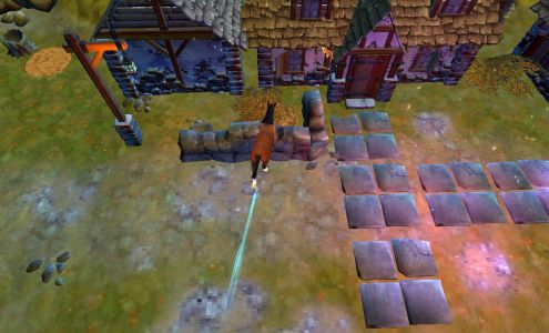 Creech David DVM Jackson