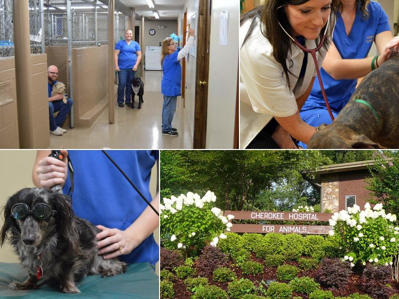 Cherokee Hospital For Animals