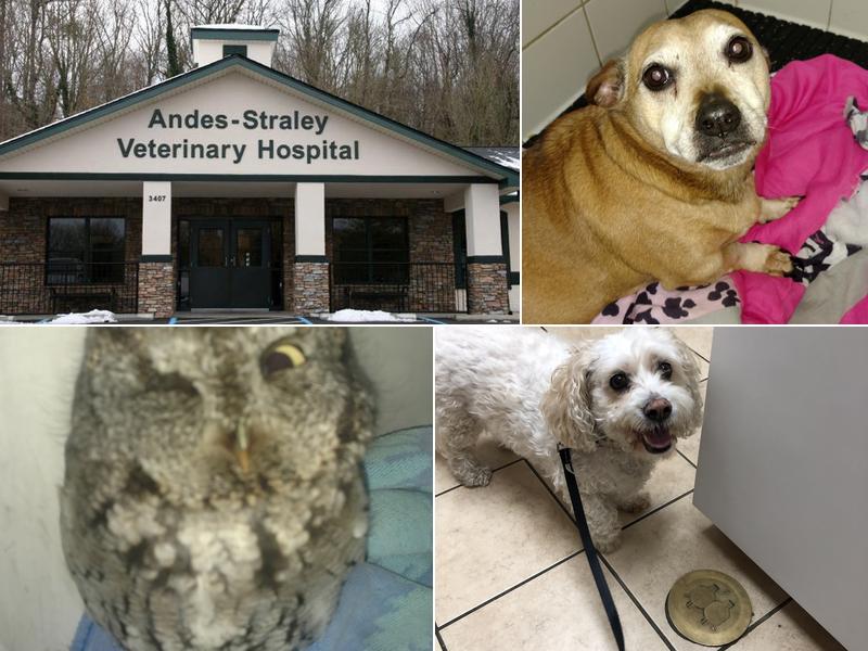 Andes-Straley Veterinary Hospital