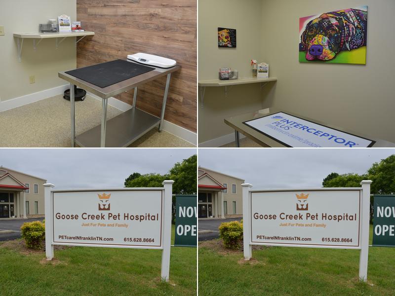 Goose Creek Pet Hospital