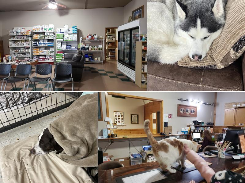 H&H Veterinary Service - Benson