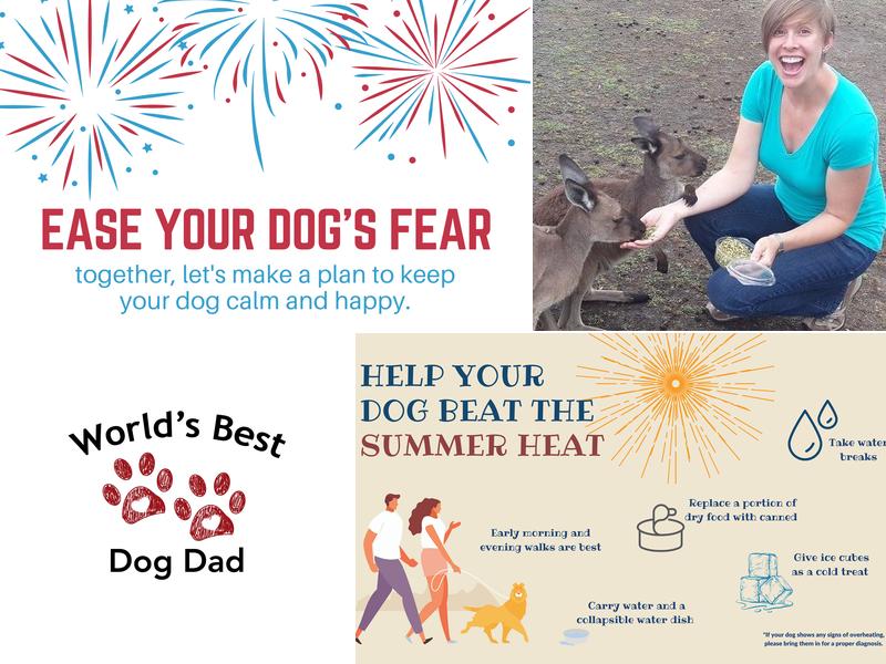 Dr. William Shannon, DVM