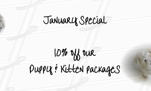 Countryside Veterinary Services Loco