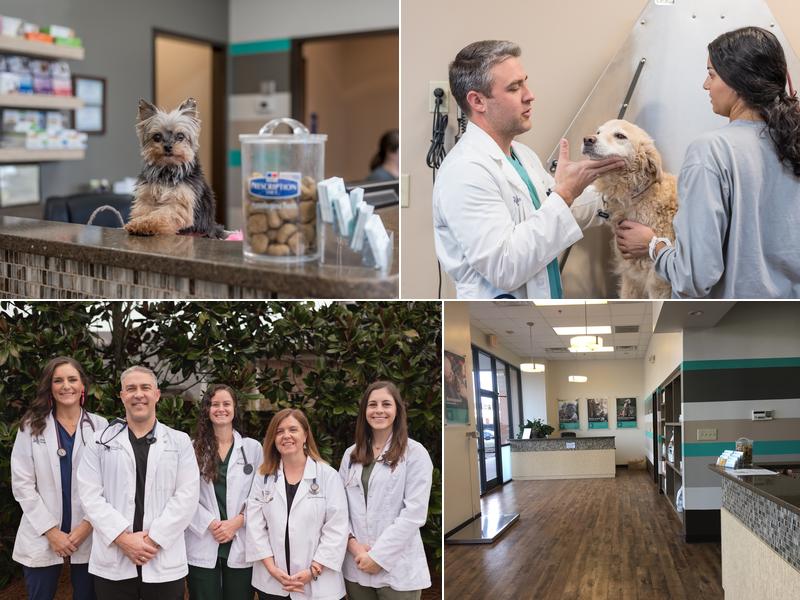 The Pet Hospitals Germantown