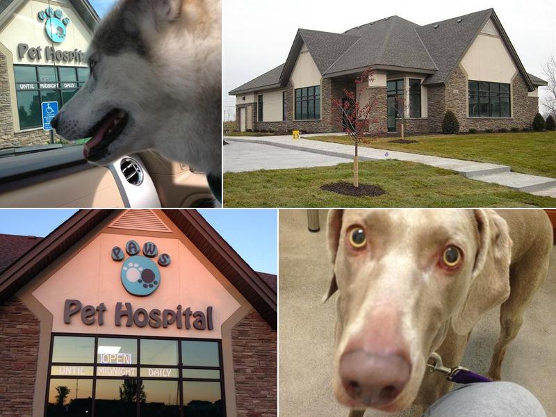 P.A.W.S. Pet Hospital