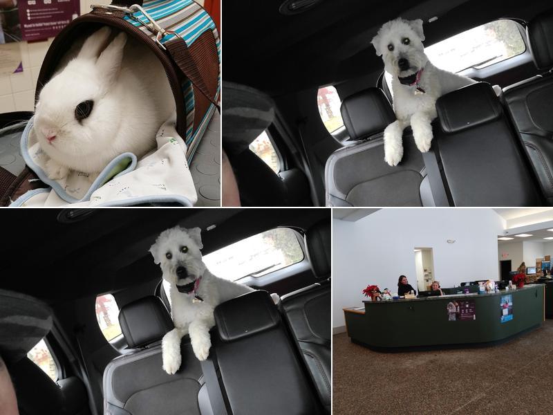 Animal Care Center of Hudson