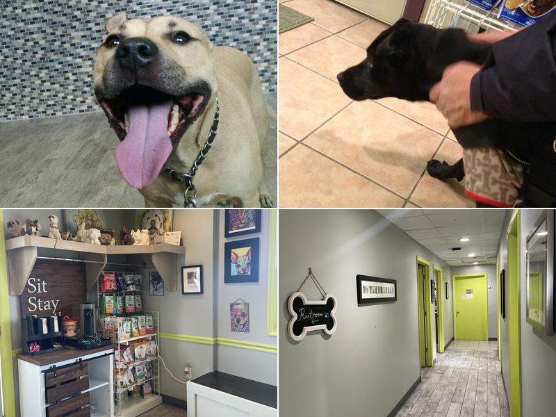 Veterinary Medical Center