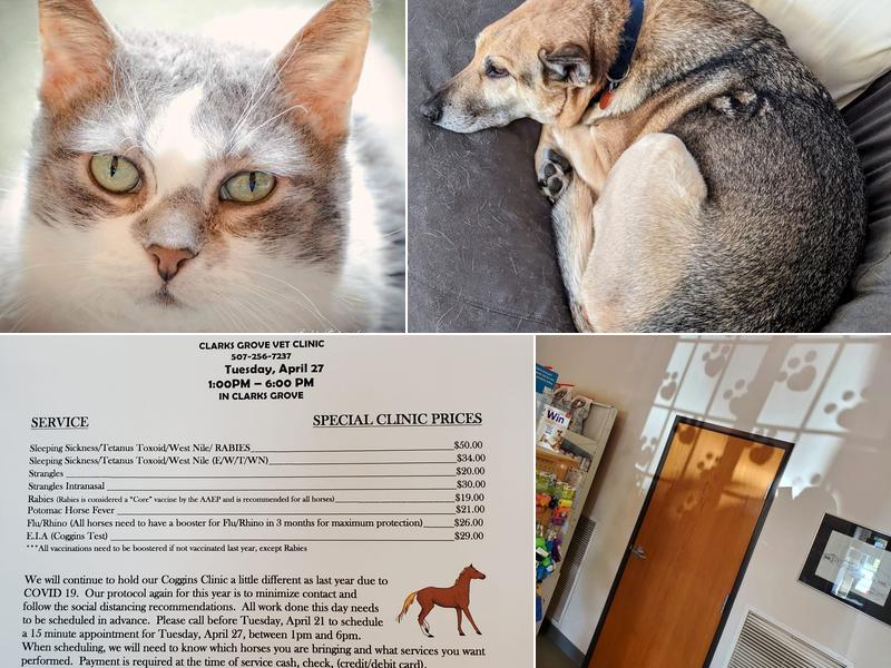 Clarks Grove Veterinary Clinic