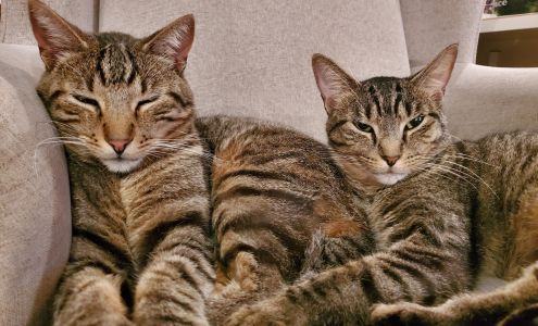 Waseca Veterinary Clinic