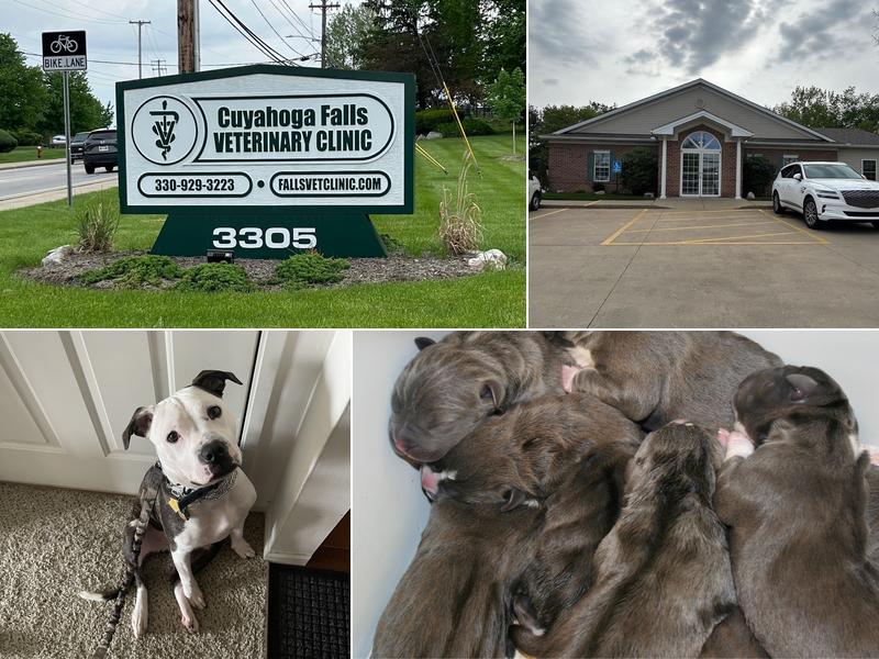 Cuyahoga Falls Veterinary Clinic