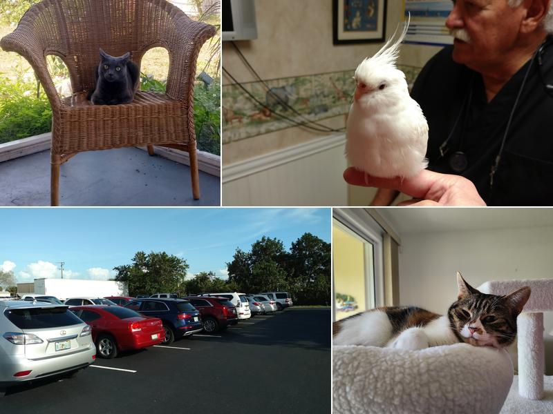 Venice Animal Clinic