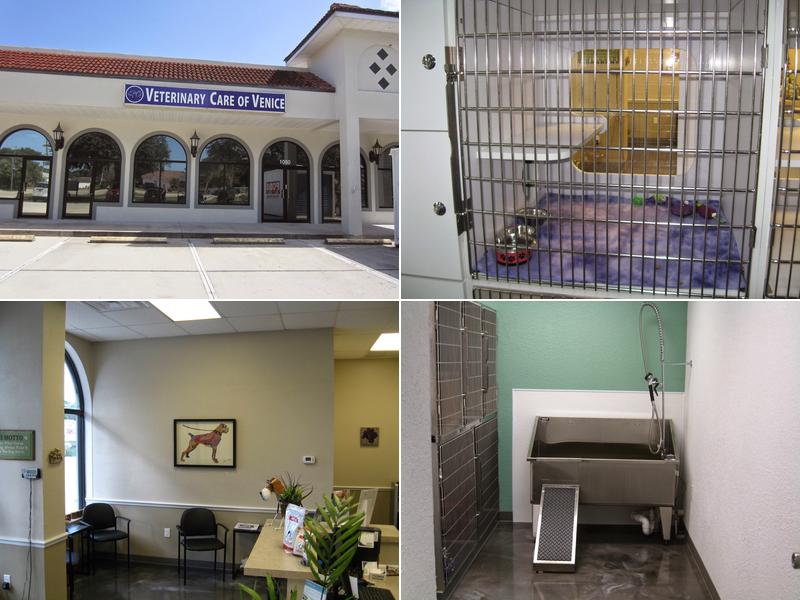 Veterinary Care of Venice