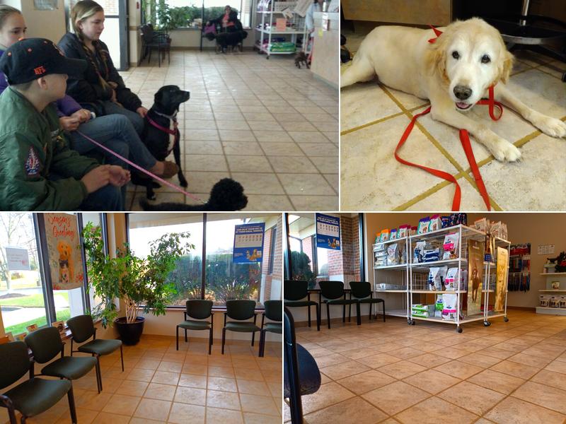 Kettering Animal Hospital