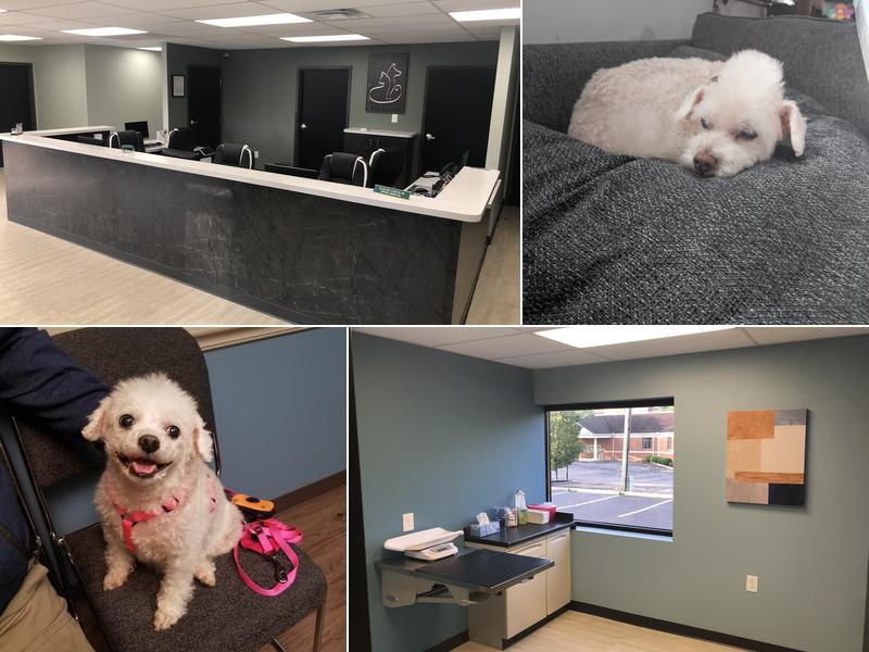 Far Hills Animal Clinic