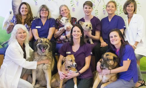 Best Friends Animal Hospital